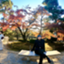 id:ponponponde