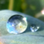 id:pontaropon