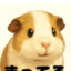 id:popochan55