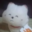 id:ppanchi