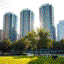 prestigesgoldengrove