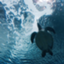 id:psylatte