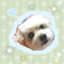 id:pu87tan