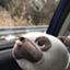 id:puikissk