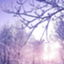 id:pure-kireido