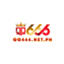 qq666netph