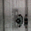 id:qri_3