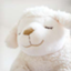 id:qurumie