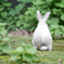 id:rabbit102mt
