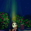 id:raccoond