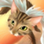 id:rakugakicat