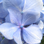 id:reimeido