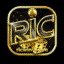 ricwin1comm