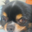 id:rikudai