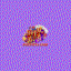 rikvipt8com