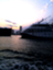 rina_co