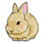 id:rinwo