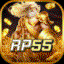 rp55tech