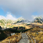 id:rspctwarren