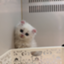 id:ruru0924