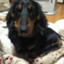 ryosuke0825