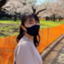 id:ryuugakusalmon