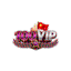 s100Vippjpnet