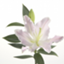 id:s80823