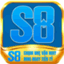 s8irish