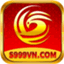 s999vncom