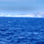 id:sailing-m