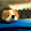 id:sakana_kirai