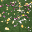 id:sasakoinizumi