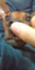 id:satochitosa