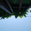 id:sawanoyama
