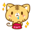 id:sayucat