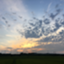 id:sazanami888