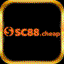 sc88cheap