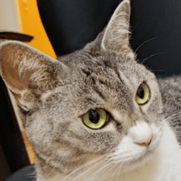 プロフィールアイコン