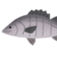 id:seabassenglish