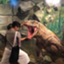 id:seina0435