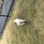 id:seina_jp