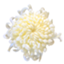 id:seispica