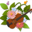 id:serafita