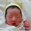 id:shacho-papa