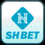 shbet800comvn1