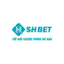 shbethicom1