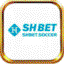shbetsoccer