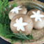 id:shi-takechuhai