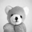 id:shibalooover